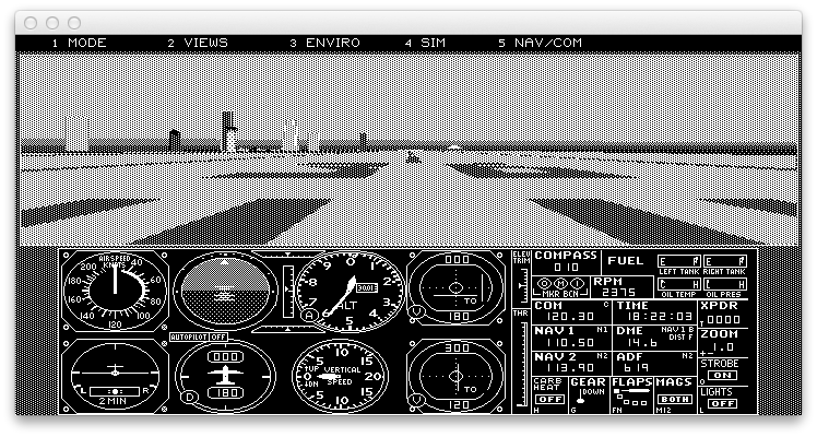 Flight Simulator 4